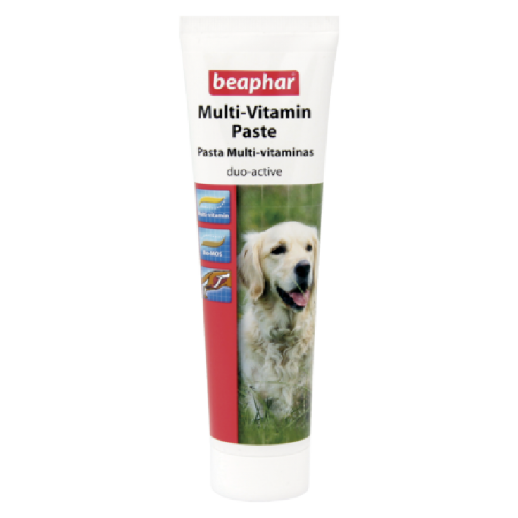 BEAPHAR MULTI VITAMIN PASTE - DOG / 100 G