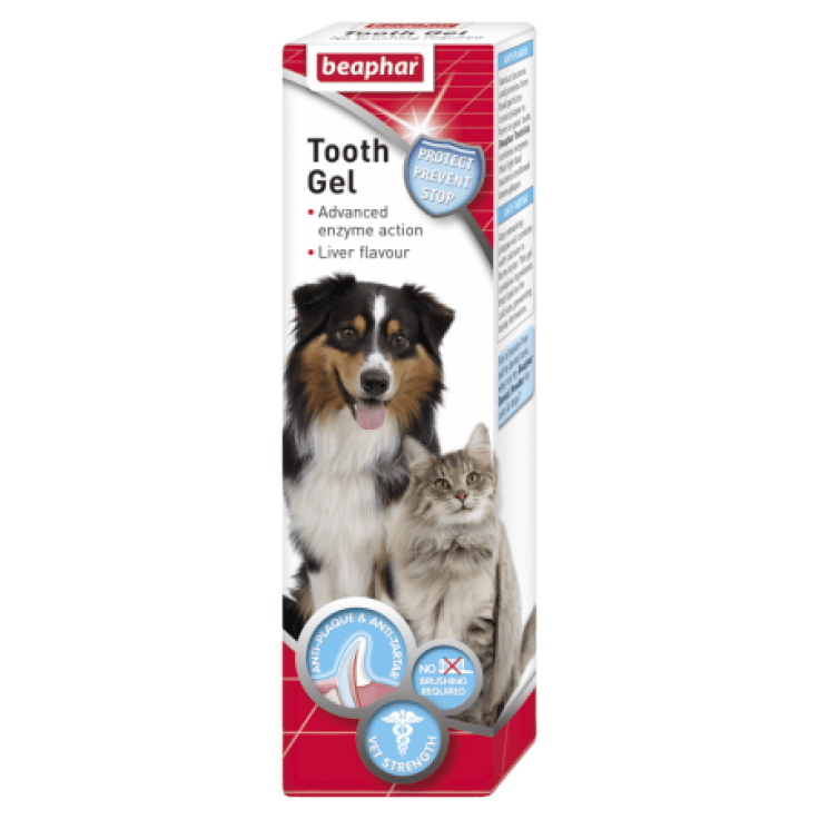 TOOTH GEL 100G TOOTH GEL 100G