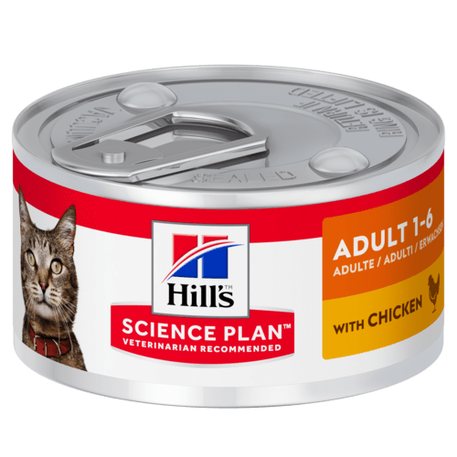Hills Science Plan Adult Cat  w/Chicken 82gx24