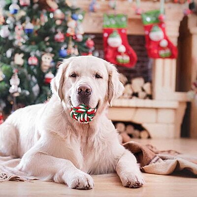 CHRISTMAS DOG ROPE TOY - BALL