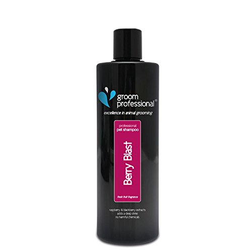 GROOM PROFESSIONAL BERRY BLAST SHAMPOO 450ML : 842084 GROOM PROFESSIONAL BERRY BLAST SHAMPOO 450ML : 842084