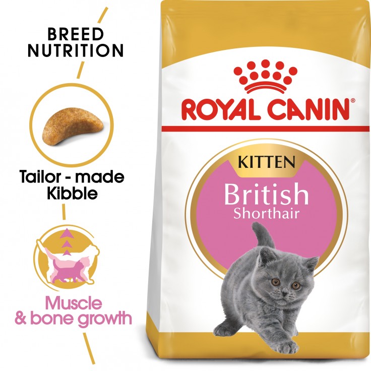 Royal Canin Feline Breed Nutrition British Shorthair Kitten 2KG