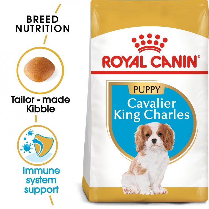 Royal Canin Breed Health Nutrition Cavalier King Charles Puppy 1.5KG