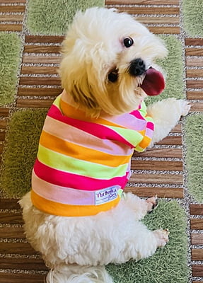 PINK ORANGE STRIPE T-SHIRT