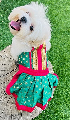 GREEN LEHENGA CHOLI