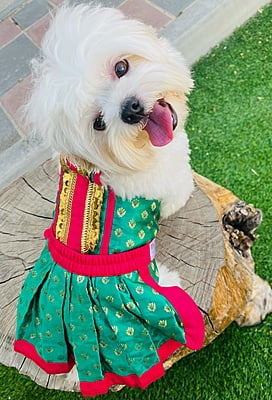 GREEN LEHENGA CHOLI