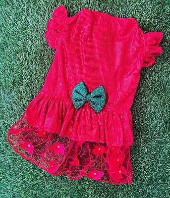 CHRISTMAS RED GOWN