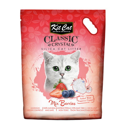 Cat litter - Creature Oasis Crystal Cat Litter with Lavender - Creatures  Oasis - the best pet store in Dubai