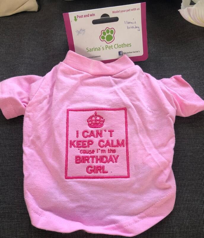 Sarina's Birthday pet clothes X small Sarina's Birthday pet clothes X small