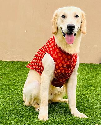 RED JACKET WITH BOW