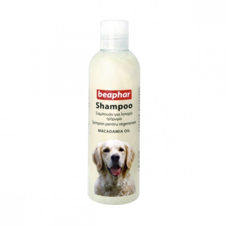 BEAPHAR SHAMPOO MACADAMIA OIL FOR DOGS 250ML