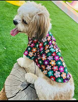 SMILEY FLOWER SHIRT