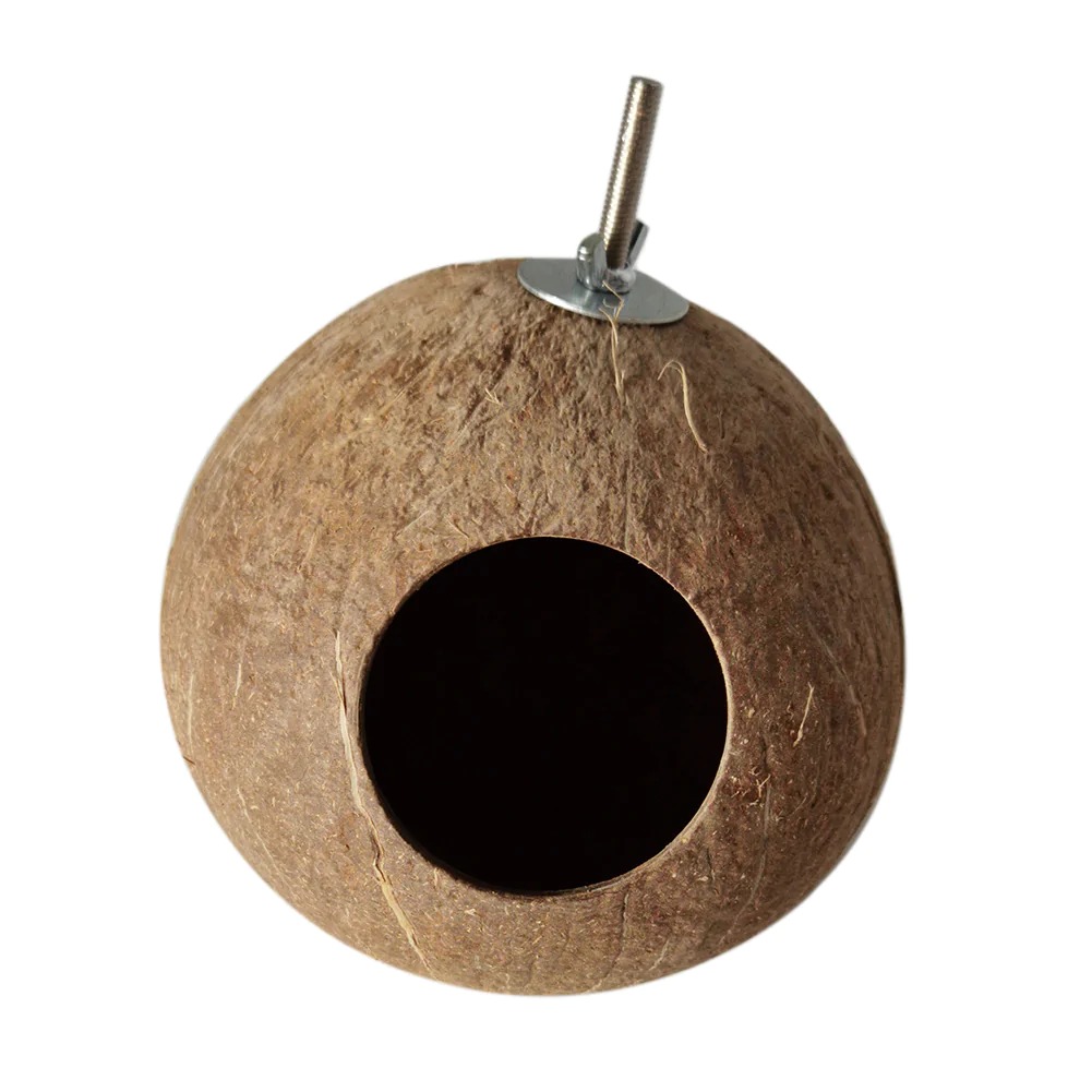 Saas Bird Coconut Shell
