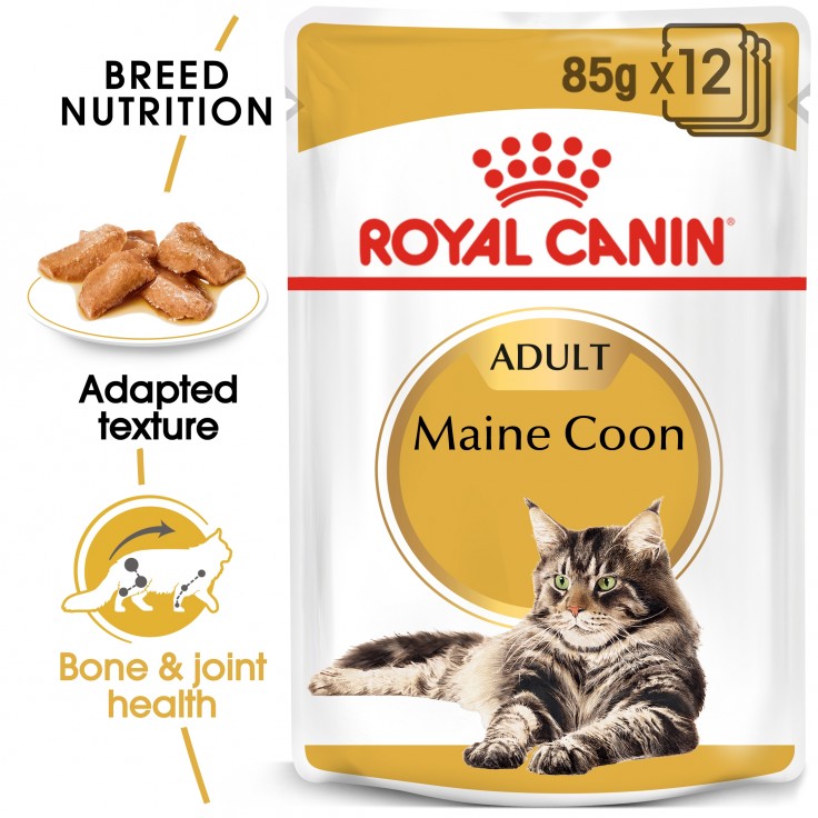 Royal Canin Wet Food Feline Breed Nutrition Maine Coon 12x85G(pouches)