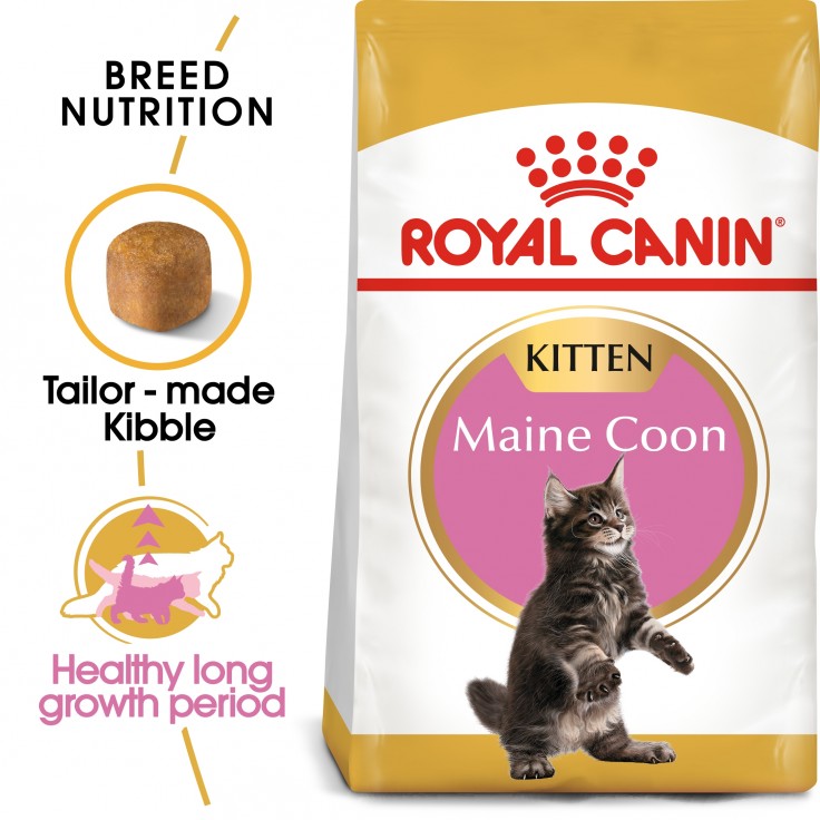 Royal Canin Feline Breed Nutrition Maine Coon Kitten 2KG