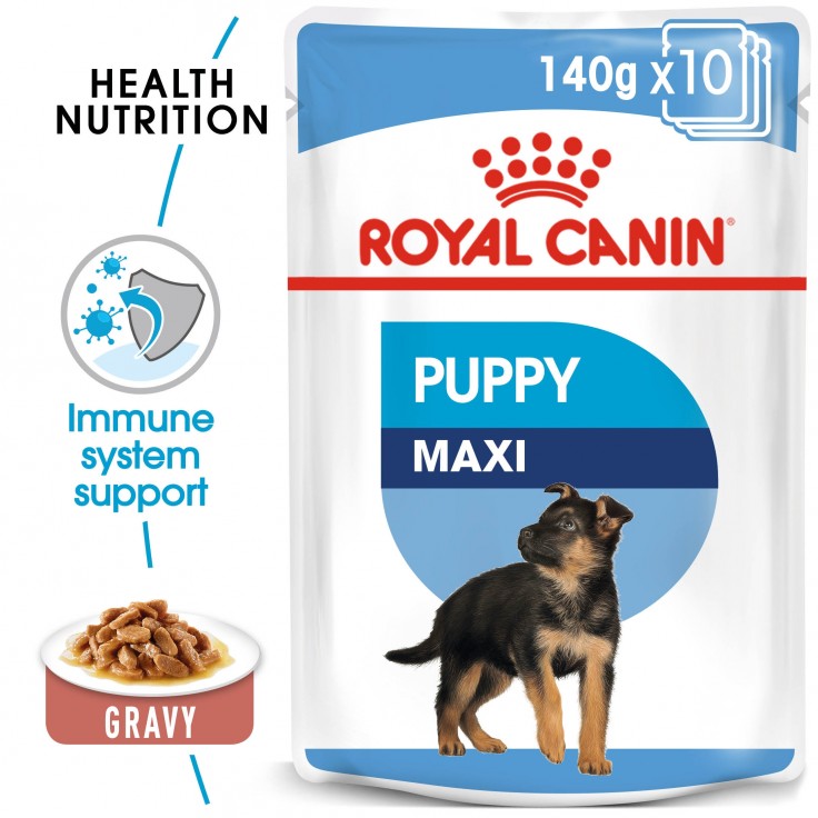 Royal Canin Wet Food SHN Maxi Puppy 10x140G(pouches)