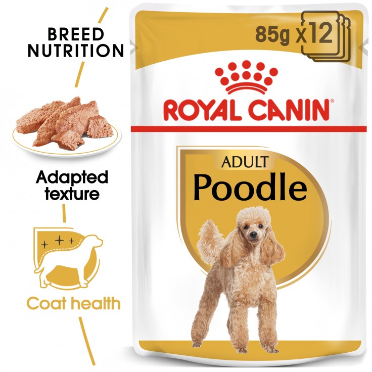Royal Canin Wet Food- BHN Poodle Adult 12x85G