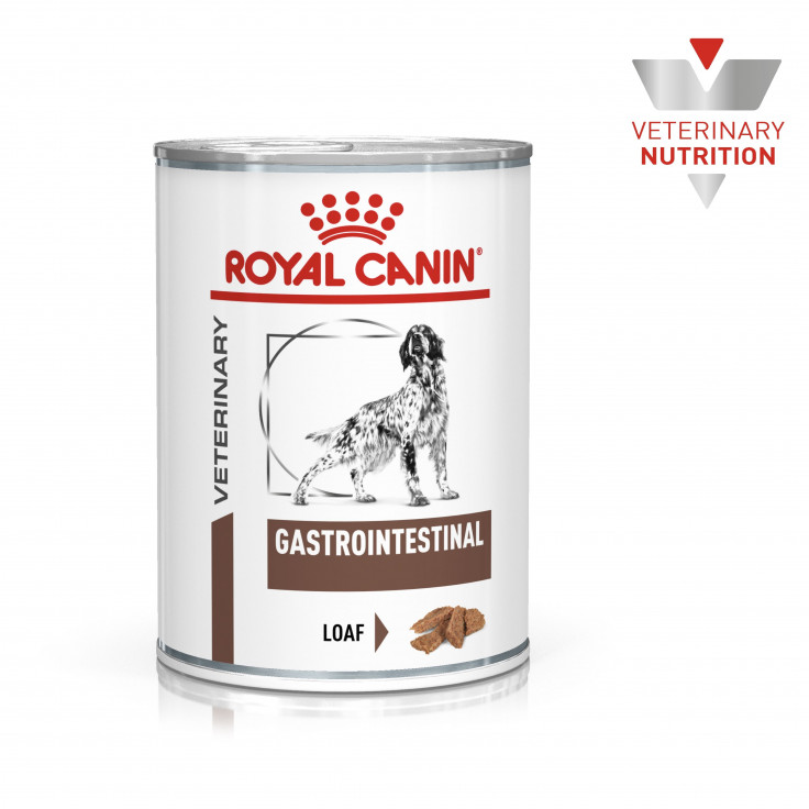 Vet Health Nutrition Canine GastroIntestinal (WET FOOD - Cans)  400G