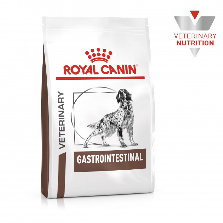 Vet Health Nutrition Canine GastroIntestinal 2 KG