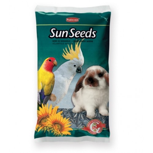 PADOVAN SUNFLOWER SEED 500 G