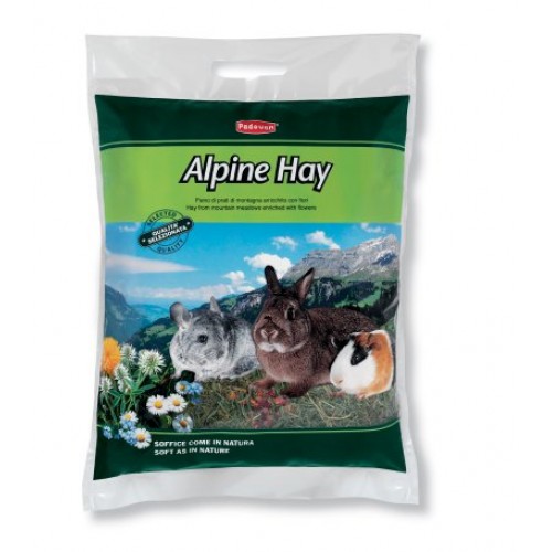 PADOVAN ALPINE HAY 700 gm (Complementary feed for dwarf rabbits, guinea pigs and chinchillas)